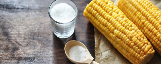 玉米燉排骨怎麼做 玉米燉排骨的做法