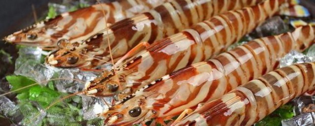 九節蝦怎麼做最好吃 九節蝦的做法