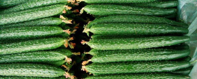 黃瓜有什麼功效和作用 黃瓜功效和作用是什麼