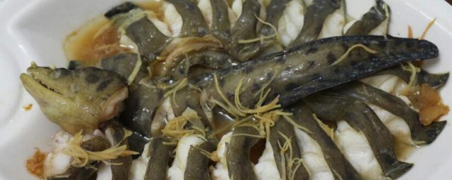 海鰻怎麼做最好吃 海鰻的做法