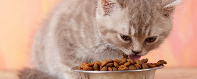 幹貓糧的制作方法 自制貓糧可以這樣做