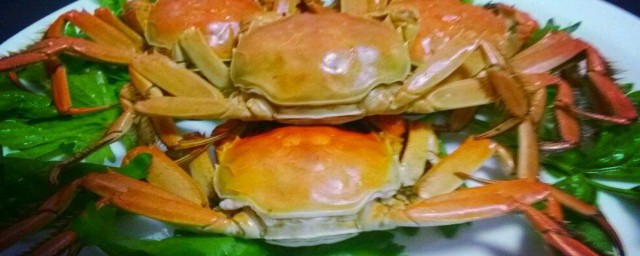 螃蟹清蒸怎麼做 螃蟹清蒸的做法