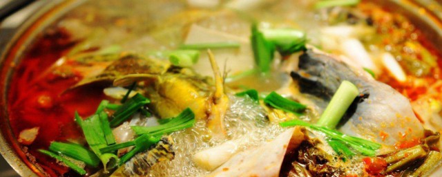 魚火鍋怎麼做最好吃 魚火鍋好吃做法