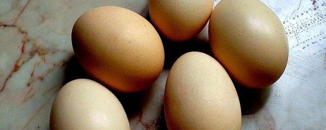 雞蛋殼怎麼做肥料 雞蛋殼做肥料的方法