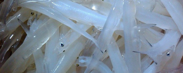 銀魚怎麼保存 如何保存銀魚