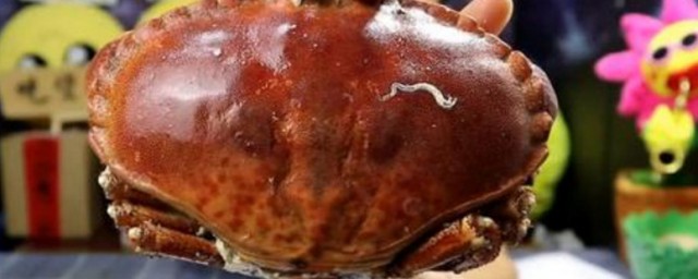 面包蟹怎麼做好吃 做面包蟹的方法
