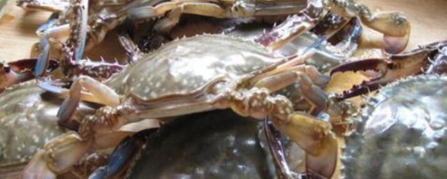 海螃蟹怎麼保存才新鮮 海螃蟹的保存方法