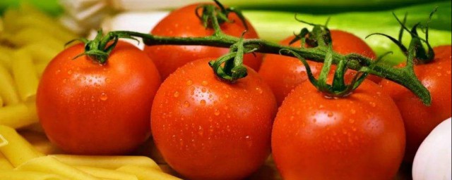 吃西紅柿會胖嗎 吃西紅柿不會胖