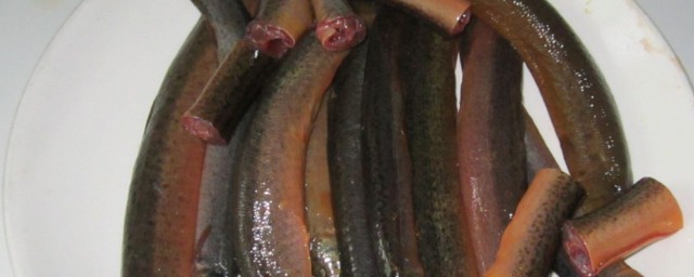 泥鰍魚的刺怎麼處理 泥鰍魚的刺處理方法