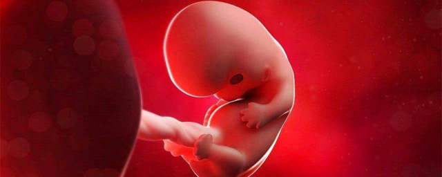 孕5個月的胎兒註意什麼 懷孕五個月需要註意什麼