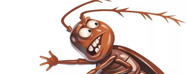 傢裡的蟑螂是怎麼來的 傢裡的蟑螂來源詳解