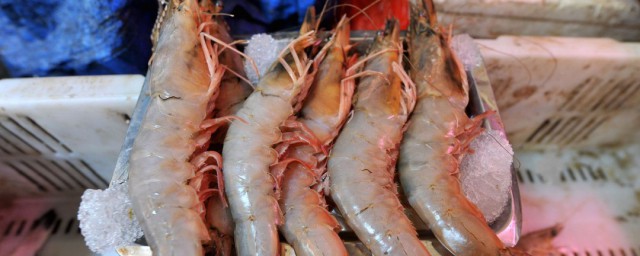 清蒸大蝦最簡單的做法 清蒸大蝦最簡單的做法是什麼