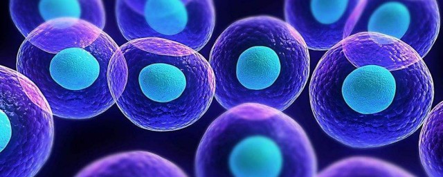 幹細胞的作用和功效 幹細胞是什麼