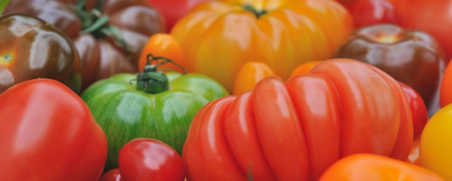沒成熟的青西紅柿能吃嗎 有毒嗎