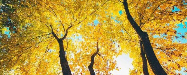 秋天是哪幾個月 秋天是什麼月份