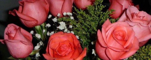 19朵玫瑰花代表什麼意思 19朵玫瑰花的寓意