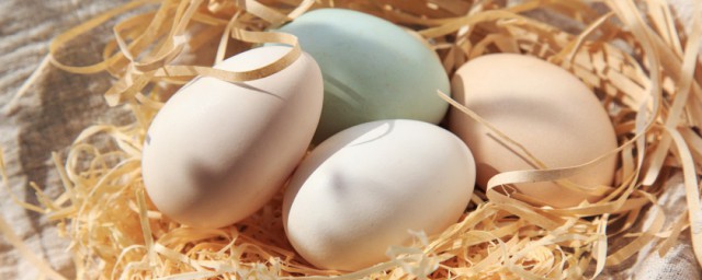 鵝蛋孕婦吃有什麼好處 鵝蛋對增強記憶力也有幫助