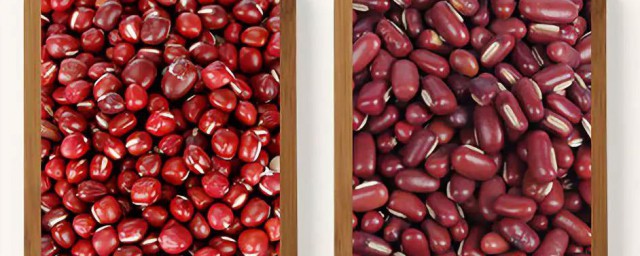 紅豆和赤小豆有什麼區別 紅豆和赤小豆區別介紹