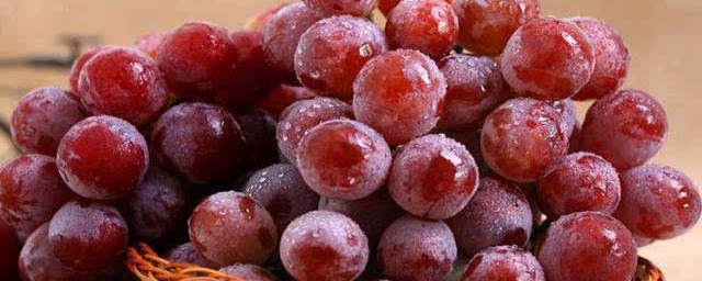 葡萄可以放冰箱保鮮嗎 葡萄是否可以放入冰箱保鮮儲存