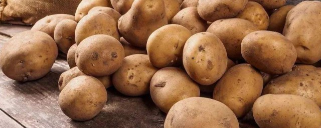 土豆營養價值及功效 土豆營養價值及功效是什麼