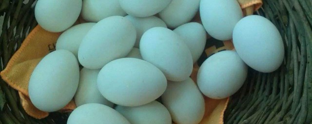 懷孕吃鵝蛋有什麼好處 孕婦可以吃鵝蛋嗎