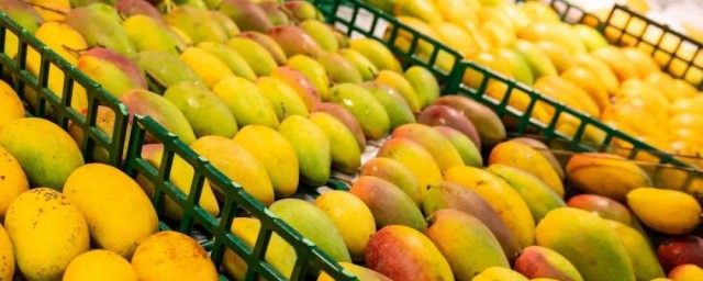 吃芒果有什麼好處和壞處 可以多吃芒果嗎