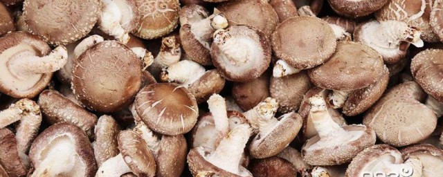 香菇的功效及營養價值 香菇的功效介紹