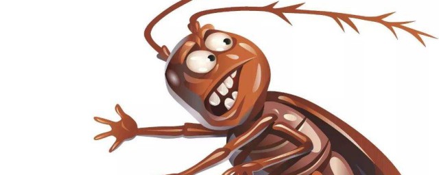 怎麼消滅蟑螂簡單有效的方法 消滅蟑螂簡單有效的方法詳解