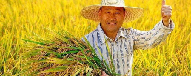 中國農民豐收節宣傳語 中國農民豐收節宣傳語有什麼