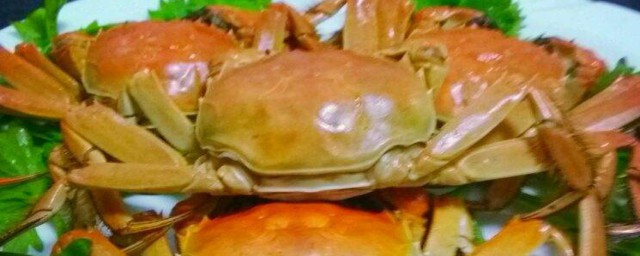 螃蟹怎麼養幾天不死 螃蟹養幾天不死的方法