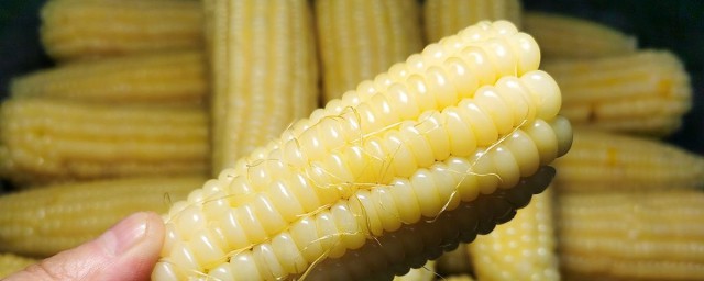 鮮玉米怎麼保存可以時間久一點 保存的辦法是什麼