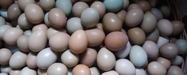 雞蛋怎麼保存時間最長 雞蛋保存方法