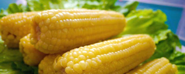 煮熟的玉米怎麼保存 煮熟的玉米保存方法