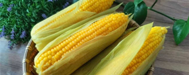 玉米怎麼保存新鮮時間長 玉米保存新鮮時間長的方法