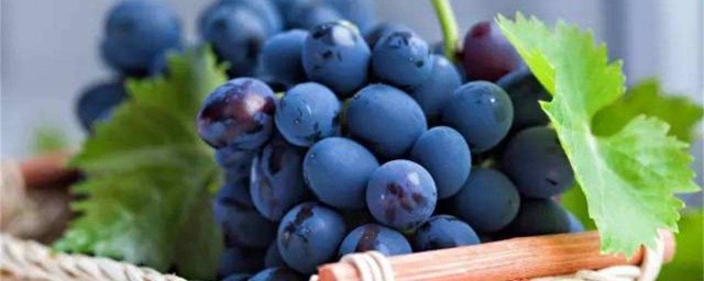 藍莓發酵方法 藍莓發酵的方法與步驟