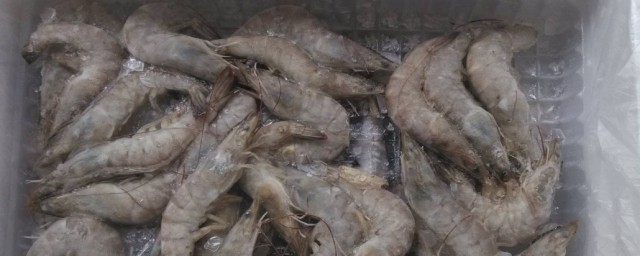 冰凍過的蝦怎麼處理 剛買回來的冰凍蝦怎麼處理