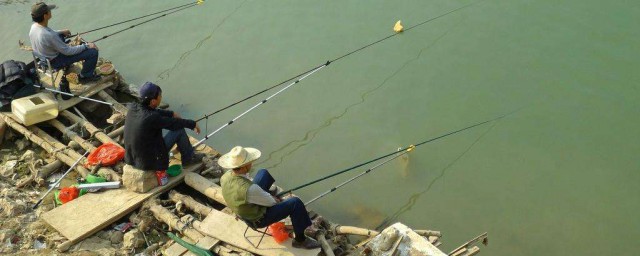 鯿魚用什麼餌料釣 鯿魚的釣法及餌料