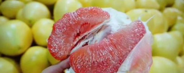 柚子成熟的季節是幾月 在什麼季節呢