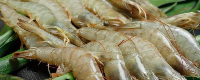 大青蝦怎麼處理 大青蝦處理方法介紹