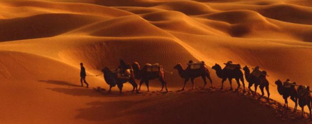 沙漠之舟的意思是什麼 沙漠之舟解釋