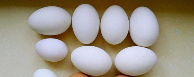 鵝蛋怎麼吃營養價值高 鵝蛋怎麼吃好