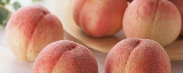 怎麼保存桃子過冬 要怎麼做呢