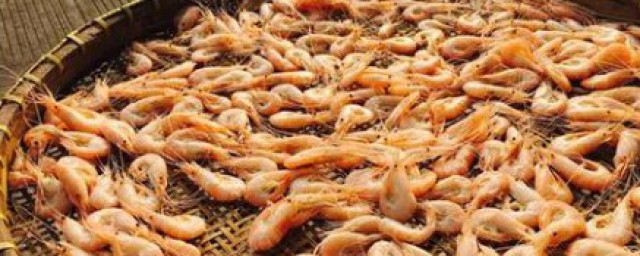 曬幹的海蝦怎麼保存 蝦幹可以放多久