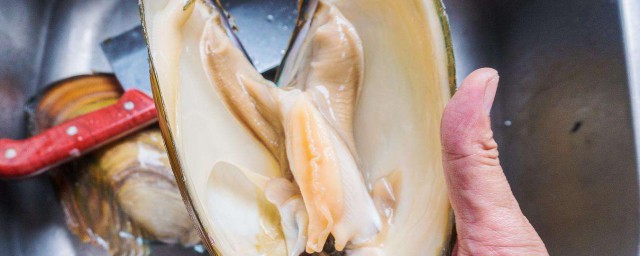 河蚌肉的打開方法 怎麼做的好吃
