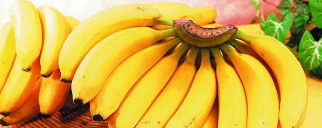 什麼樣的香蕉不能吃 什麼樣的香蕉不能吃的解析
