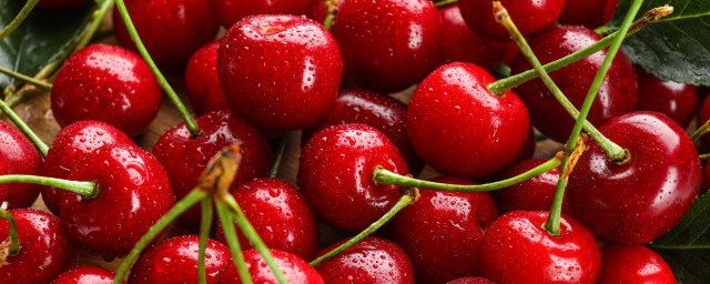 櫻桃的養殖方法 盆栽櫻桃的五個養殖方法