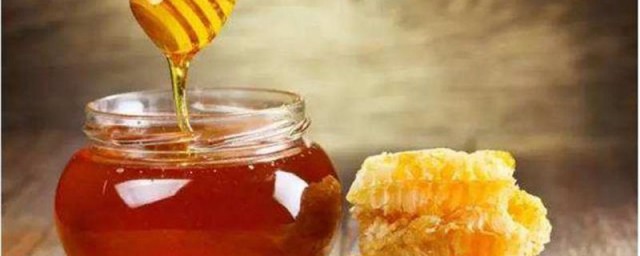 佛手泡蜂蜜有什麼功效 對人體的好處
