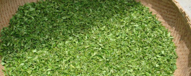 綠茶的10大功效 綠茶的10大功效介紹