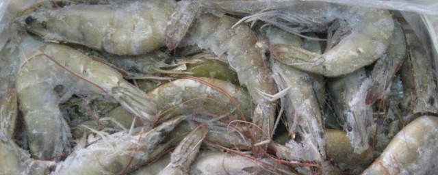 厄瓜多爾冷凍蝦全是白蝦嗎 如何做厄瓜多爾蝦