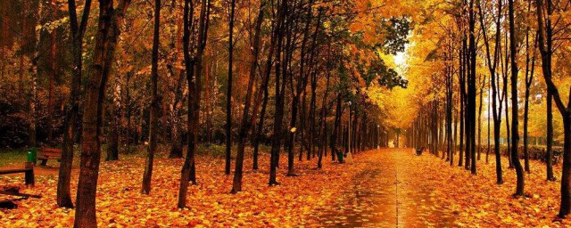 關於秋天的詩詞大全 關於秋天的詩詞介紹